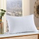 مخدة طبية CALVO major pillow 50*75